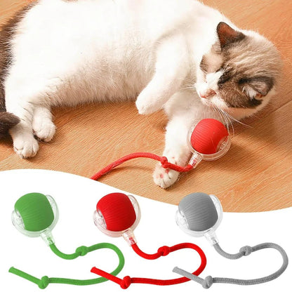 🐾Christmas Special offer! 🐱🐶Smart Automatic Rolling Pet Ball