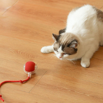 🐾Christmas Special offer! 🐱🐶Smart Automatic Rolling Pet Ball