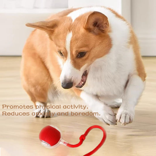 🐾Christmas Special offer! 🐱🐶Smart Automatic Rolling Pet Ball