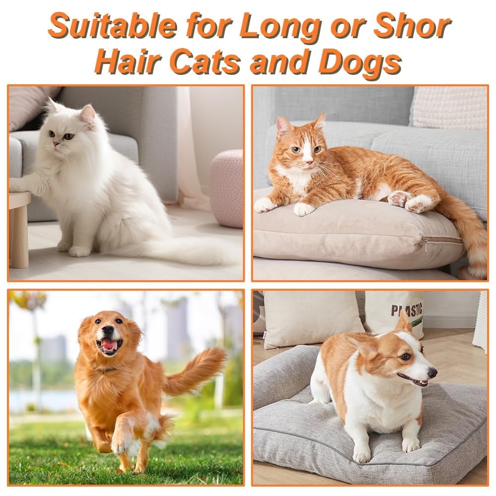 🔥 Pet Steam Brush