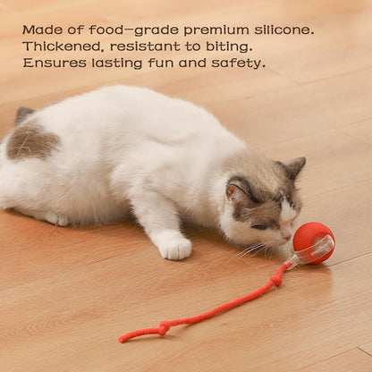 🐾Christmas Special offer! 🐱🐶Smart Automatic Rolling Pet Ball